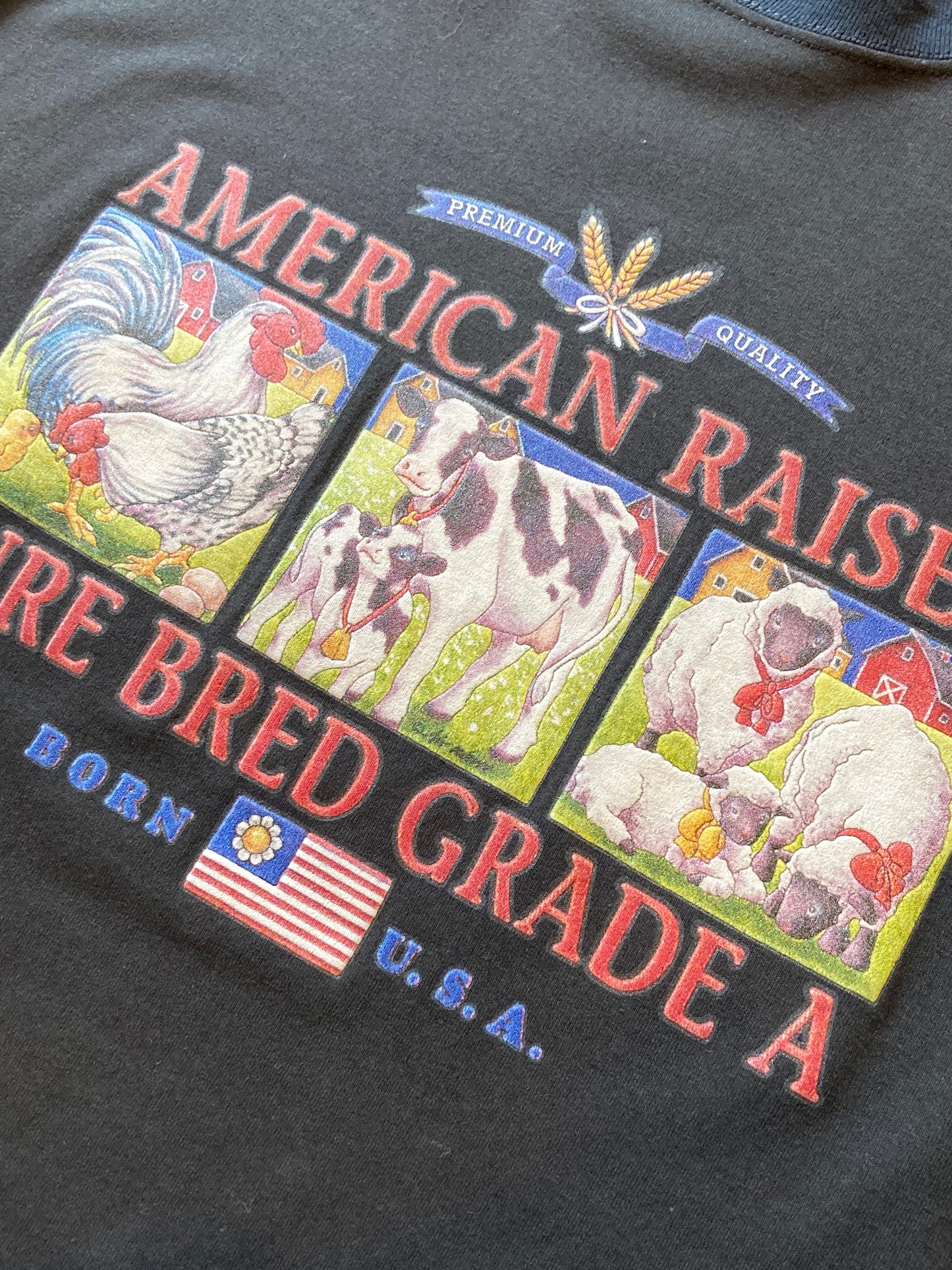 SOFFE T-shirt 90's~ made in USA