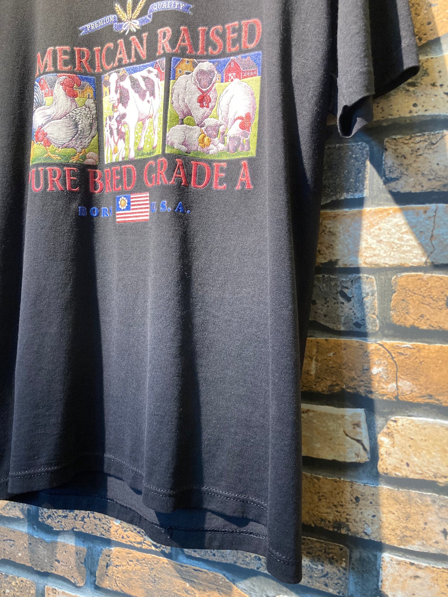 SOFFE T-shirt 90's~ made in USA
