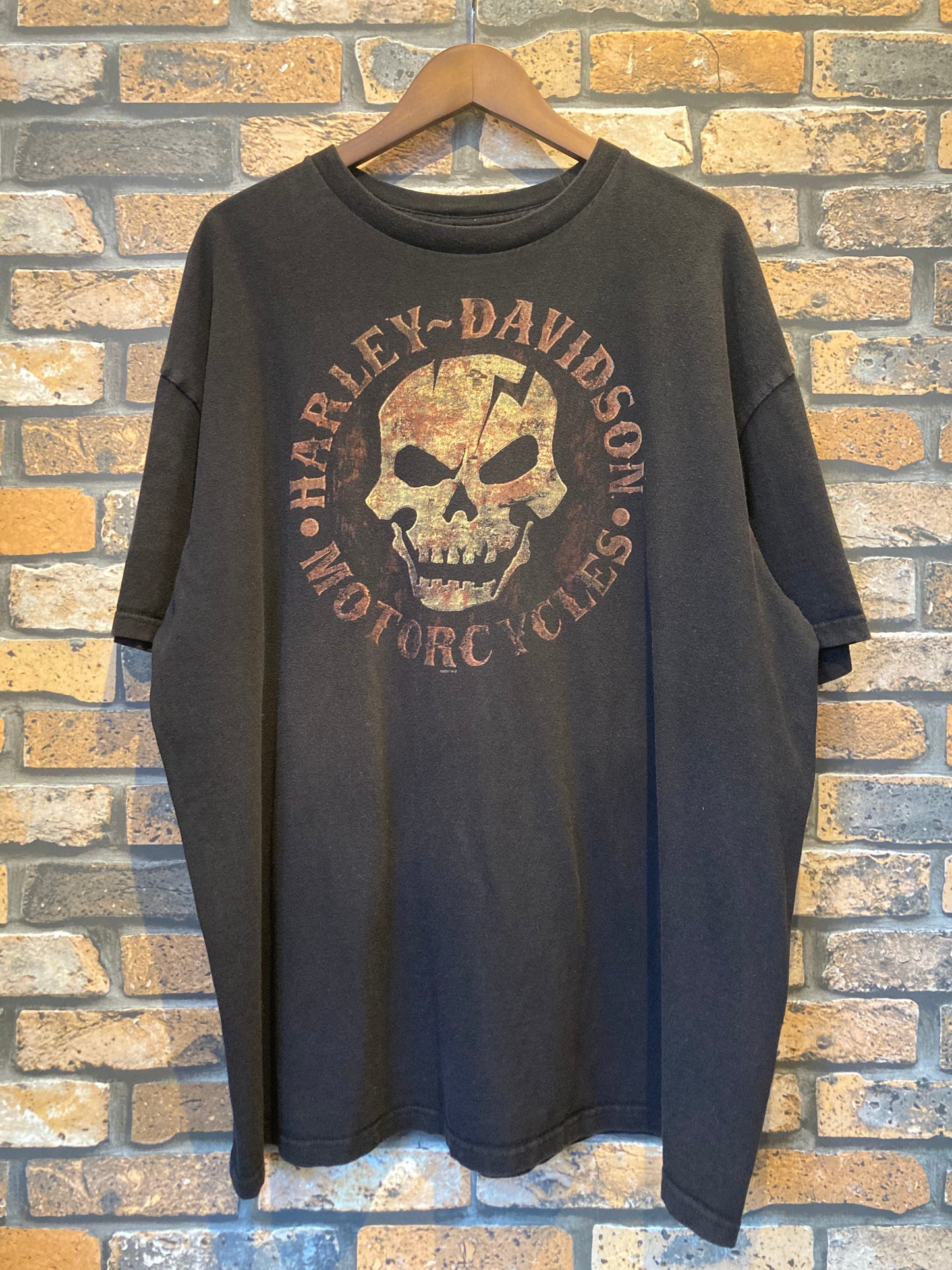 HARLEY-DAVIDSON (BIKER BUILT) print-T