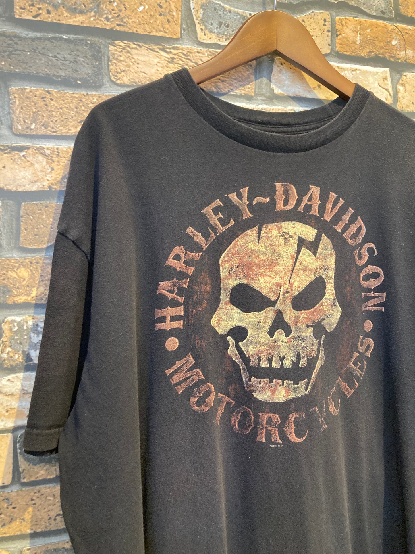 HARLEY-DAVIDSON (BIKER BUILT) print-T