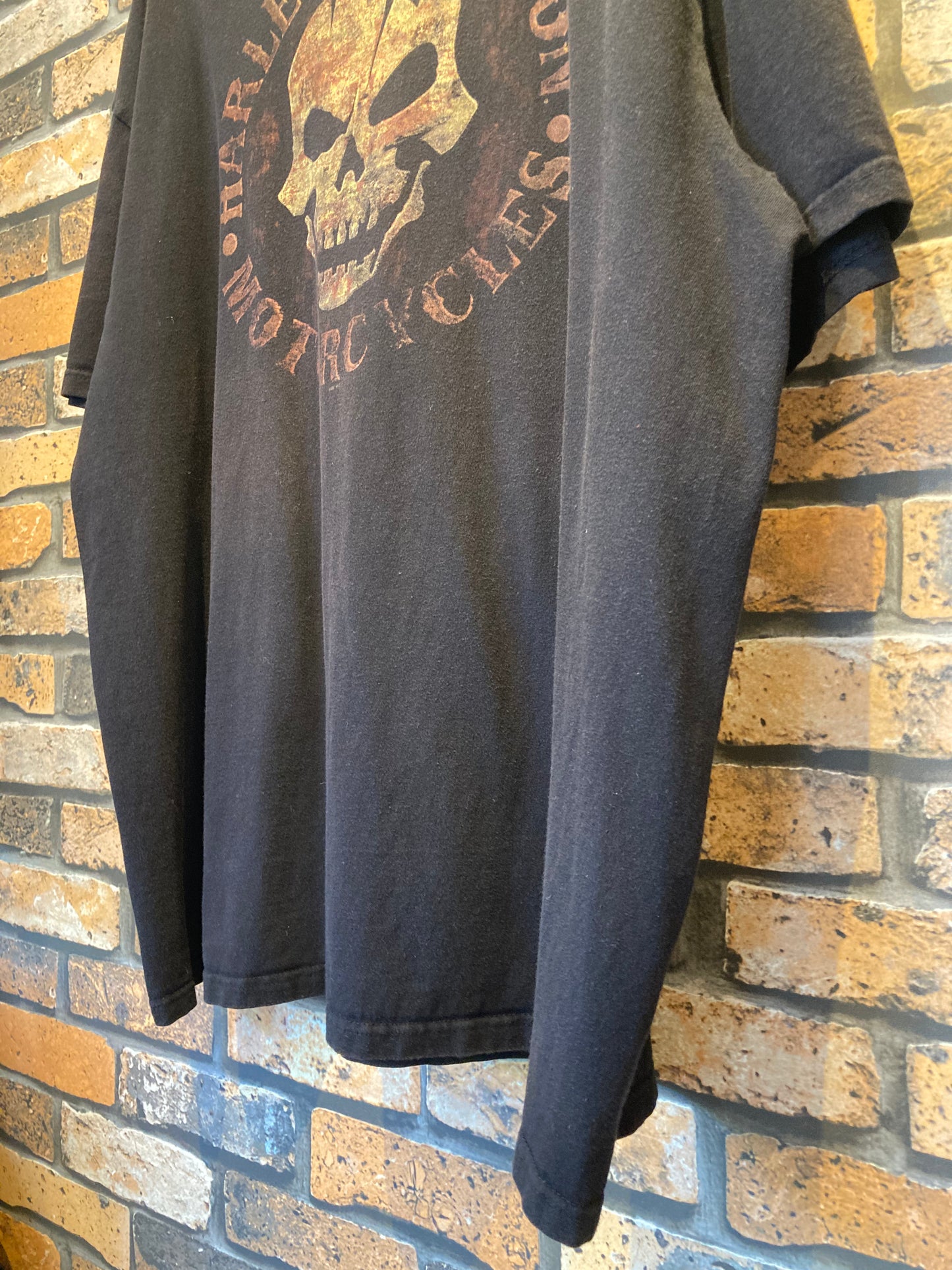 HARLEY-DAVIDSON (BIKER BUILT) print-T