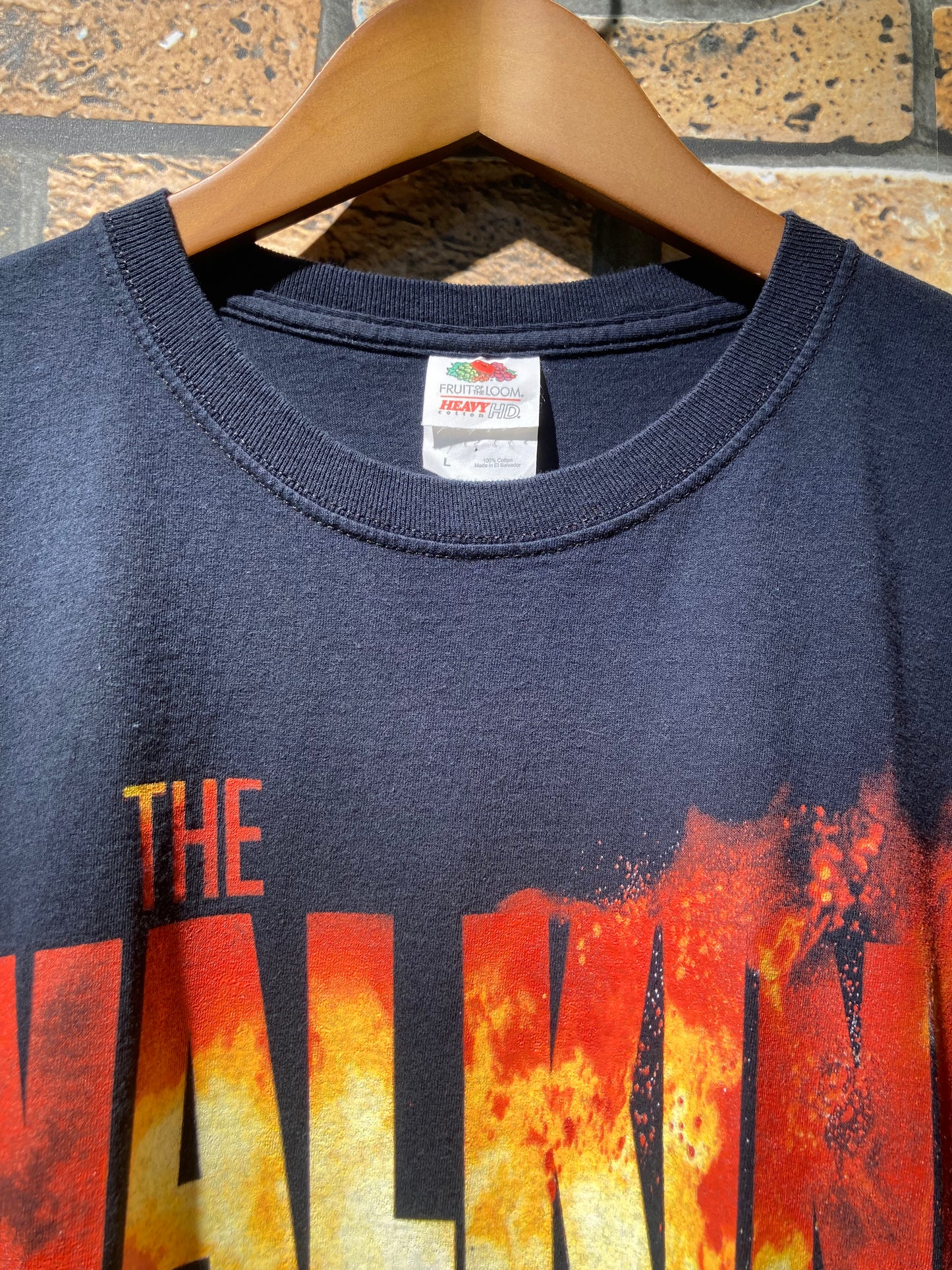 THE WALKING DEAD print-T
